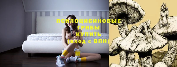 спайс Богданович