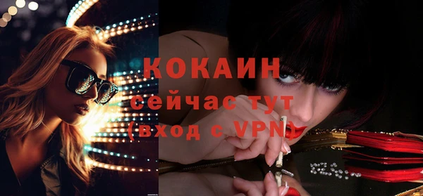 спайс Богданович