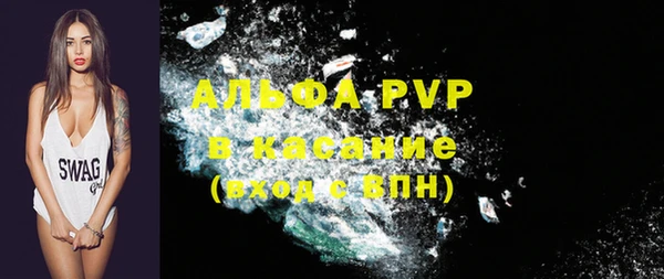 спайс Богданович