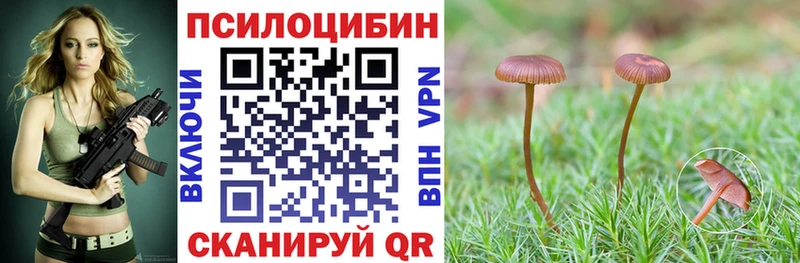 купить закладку МЕГА Псилоцибиновые грибы Psilocybe Александровское